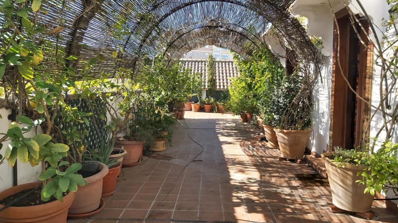 El Jardín de Wallada Córdoba Exterior foto